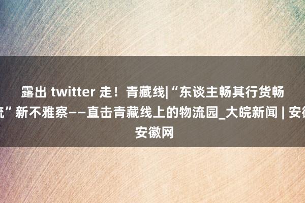 露出 twitter 走！青藏线|“东谈主畅其行货畅其流”新不雅察——直击青藏线上的物流园_大皖新闻 | 安徽网