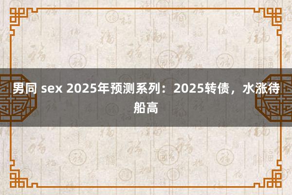 男同 sex 2025年预测系列：2025转债，水涨待船高