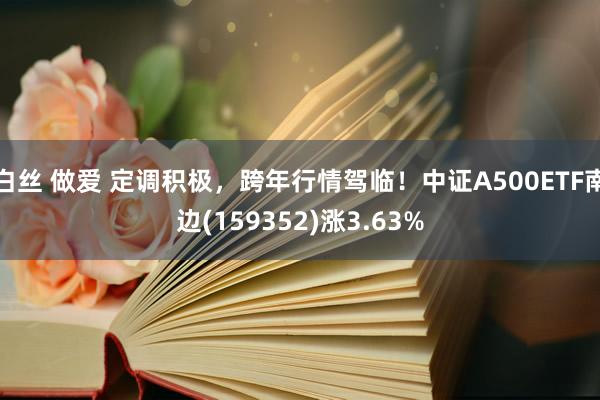 白丝 做爱 定调积极，跨年行情驾临！中证A500ETF南边(159352)涨3.63%