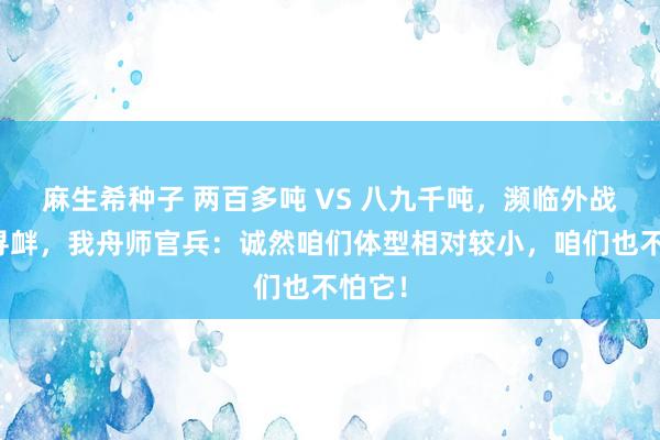 麻生希种子 两百多吨 VS 八九千吨，濒临外战船艇寻衅，我舟师官兵：诚然咱们体型相对较小，咱们也不怕它！