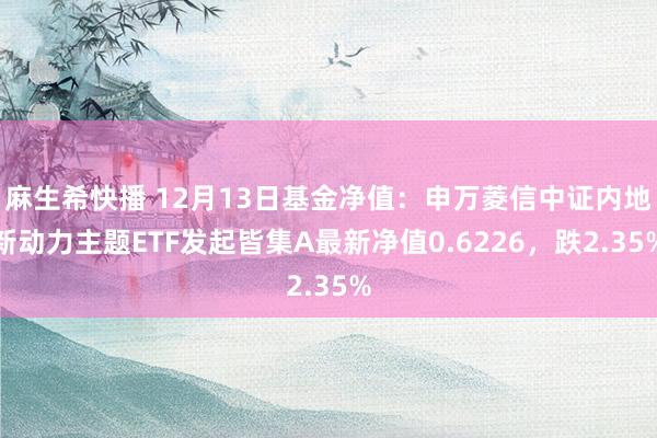 麻生希快播 12月13日基金净值：申万菱信中证内地新动力主题ETF发起皆集A最新净值0.6226，跌2.35%