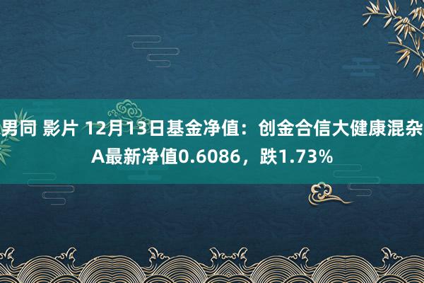 男同 影片 12月13日基金净值：创金合信大健康混杂A最新净值0.6086，跌1.73%