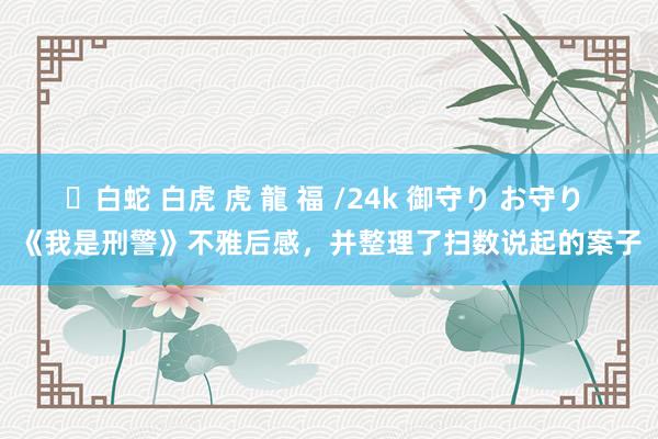 ✨白蛇 白虎 虎 龍 福 /24k 御守り お守り 《我是刑警》不雅后感，并整理了扫数说起的案子