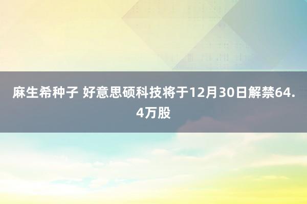 麻生希种子 好意思硕科技将于12月30日解禁64.4万股