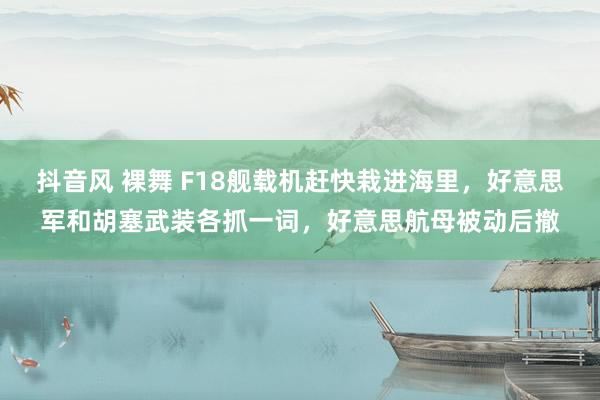 抖音风 裸舞 F18舰载机赶快栽进海里，好意思军和胡塞武装各抓一词，好意思航母被动后撤