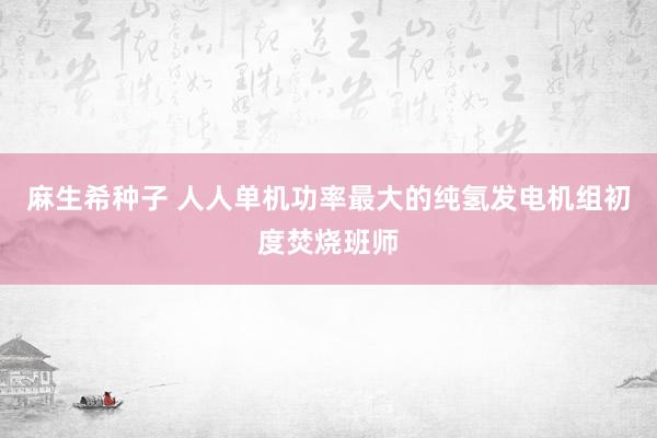 麻生希种子 人人单机功率最大的纯氢发电机组初度焚烧班师