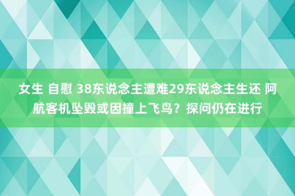 女生 自慰 38东说念主遭难29东说念主生还 阿航客机坠毁或因撞上飞鸟？探问仍在进行