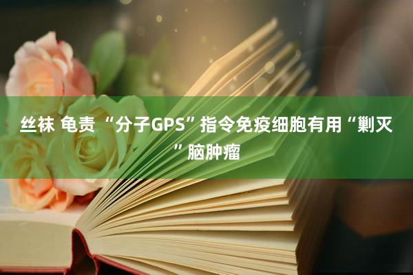 丝袜 龟责 “分子GPS”指令免疫细胞有用“剿灭”脑肿瘤