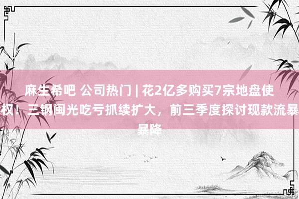 麻生希吧 公司热门 | 花2亿多购买7宗地盘使用权！三钢闽光吃亏抓续扩大，前三季度探讨现款流暴降