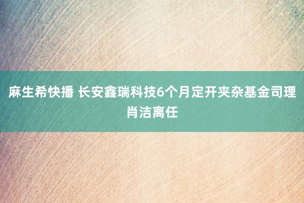 麻生希快播 长安鑫瑞科技6个月定开夹杂基金司理肖洁离任