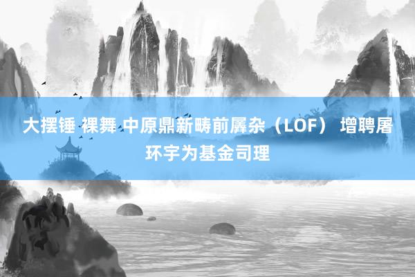 大摆锤 裸舞 中原鼎新畴前羼杂（LOF） 增聘屠环宇为基金司理