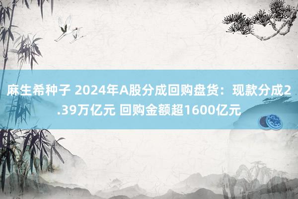 麻生希种子 2024年A股分成回购盘货：现款分成2.39万亿元 回购金额超1600亿元