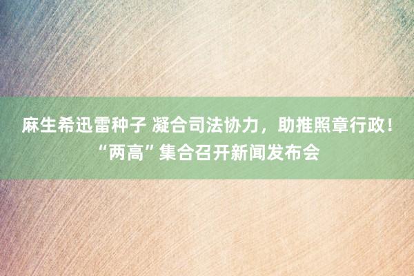 麻生希迅雷种子 凝合司法协力，助推照章行政！“两高”集合召开新闻发布会