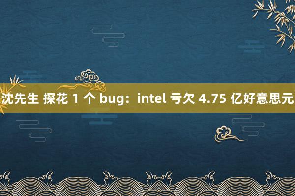 沈先生 探花 1 个 bug：intel 亏欠 4.75 亿好意思元