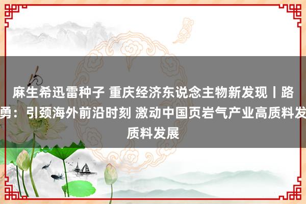 麻生希迅雷种子 重庆经济东说念主物新发现丨路智勇：引颈海外前沿时刻 激动中国页岩气产业高质料发展