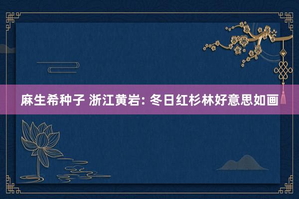 麻生希种子 浙江黄岩: 冬日红杉林好意思如画