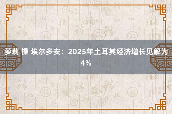 萝莉 操 埃尔多安：2025年土耳其经济增长见解为4%