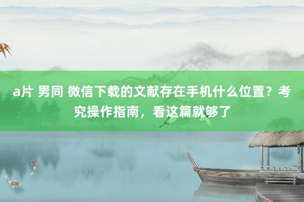 a片 男同 微信下载的文献存在手机什么位置？考究操作指南，看这篇就够了