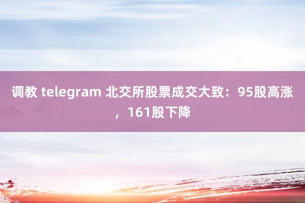 调教 telegram 北交所股票成交大致：95股高涨，161股下降