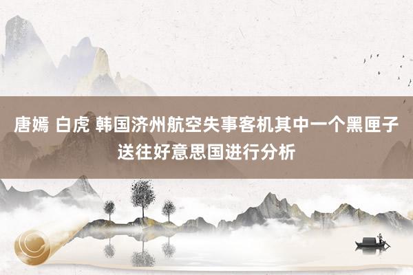 唐嫣 白虎 韩国济州航空失事客机其中一个黑匣子送往好意思国进行分析