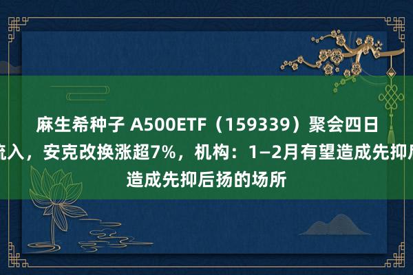 麻生希种子 A500ETF（159339）聚会四日获资金净流入，安克改换涨超7%，机构：1—2月有望造成先抑后扬的场所