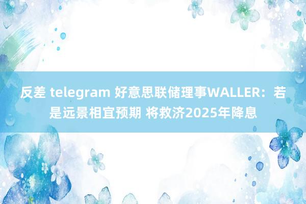 反差 telegram 好意思联储理事WALLER：若是远景相宜预期 将救济2025年降息