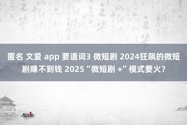 匿名 文爱 app 要道词3 微短剧 2024狂飙的微短剧赚不到钱 2025“微短剧 +”模式要火？