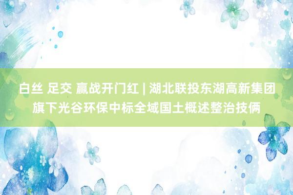 白丝 足交 赢战开门红 | 湖北联投东湖高新集团旗下光谷环保中标全域国土概述整治技俩