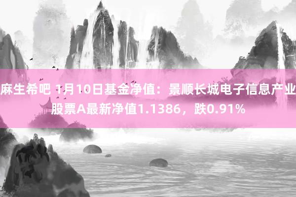 麻生希吧 1月10日基金净值：景顺长城电子信息产业股票A最新净值1.1386，跌0.91%