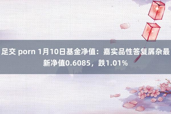 足交 porn 1月10日基金净值：嘉实品性答复羼杂最新净值0.6085，跌1.01%