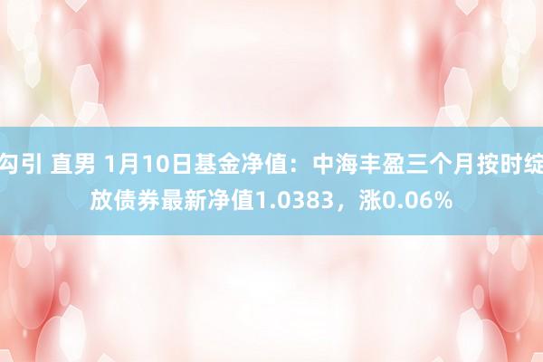 勾引 直男 1月10日基金净值：中海丰盈三个月按时绽放债券最新净值1.0383，涨0.06%