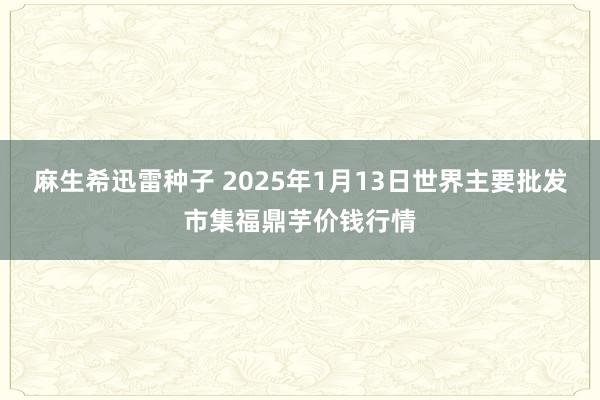 麻生希迅雷种子 2025年1月13日世界主要批发市集福鼎芋价钱行情