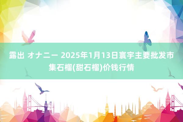 露出 オナニー 2025年1月13日寰宇主要批发市集石榴(甜石榴)价钱行情