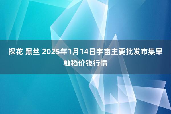 探花 黑丝 2025年1月14日宇宙主要批发市集早籼稻价钱行情