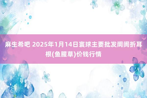 麻生希吧 2025年1月14日寰球主要批发阛阓折耳根(鱼腥草)价钱行情