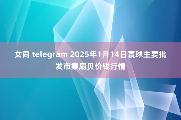 女同 telegram 2025年1月14日寰球主要批发市集扇贝价钱行情